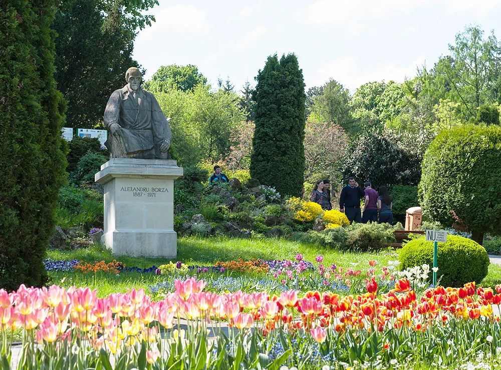 Campanie de ecologizare și de plantare, în Grădina Botanică „Alexandru Borza”