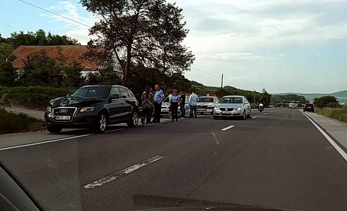 FOTO | Accident între Gherla şi Livada! Un cal a fost lovit de o maşină