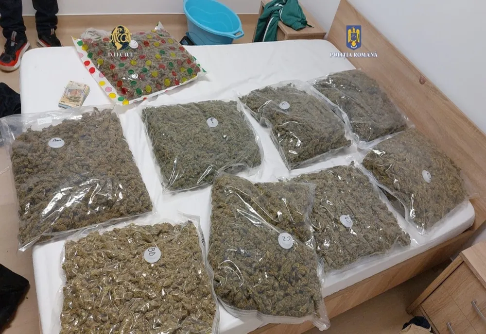 Droguri descoperite la un clujean: peste 10 kilograme de cannabis (FOTO)