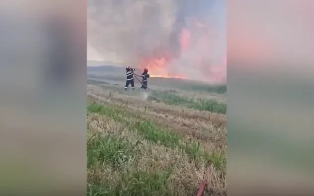 Incendiu puternic în Cluj. Flăcările au distrus mai multe culturi de grâu