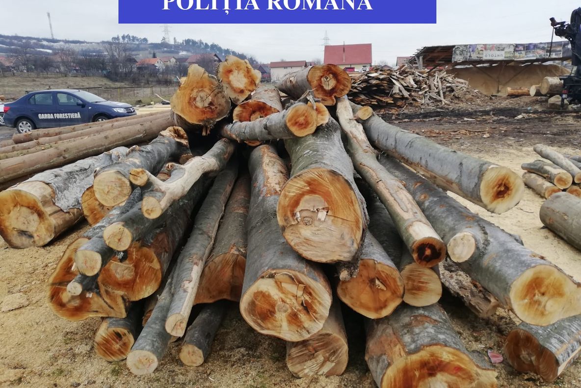 FOTO | Acţiune pentru combaterea delictelor silvice | S-au dat amenzi de peste 34 de mii de lei