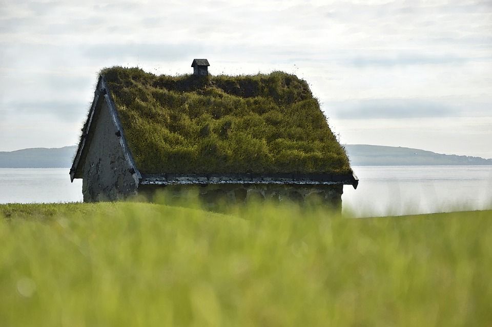 Casele verzi, principala temă a Bienalei de Arhitectură Transilvania