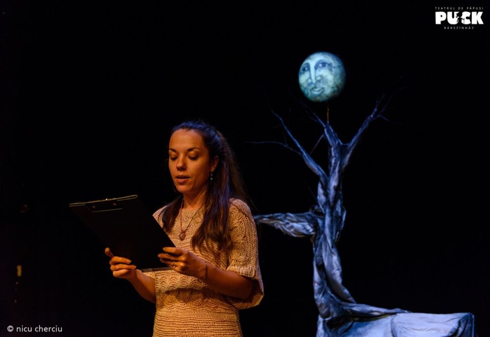 Teatrul „Puck” pregătește un nou proiect: serialul „Domnul Păpădie și Prosop”