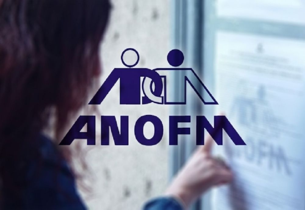 Modelul documentelor pentru plata șomajului tehnic a fost aprobat de ministrul Muncii și Solidarității Sociale