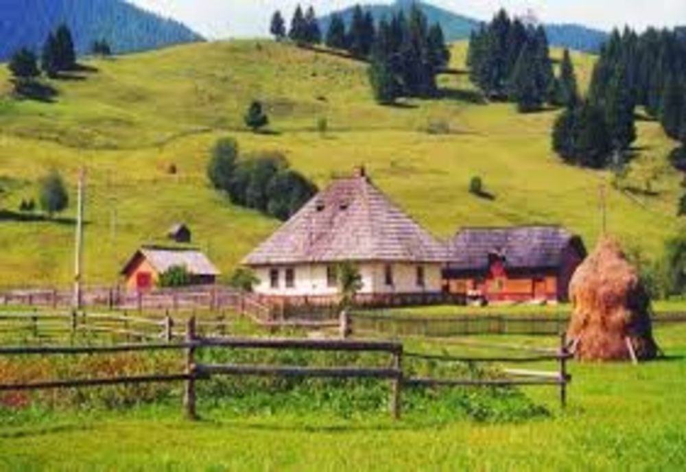Trei programe de sprijin în valoare de aproximativ 220 de milioane de lei pentru locuitorii din zona montană 