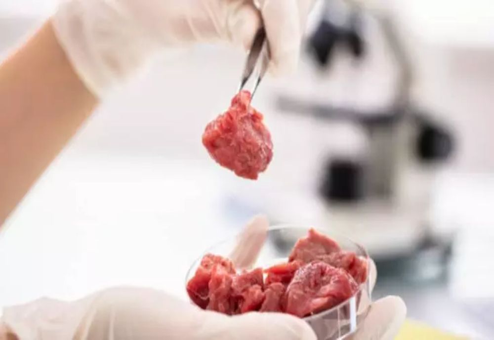 Alertă alimentară în magazinele românești: E-Coli și stafilococ auriu, în carnea de pui și de porc