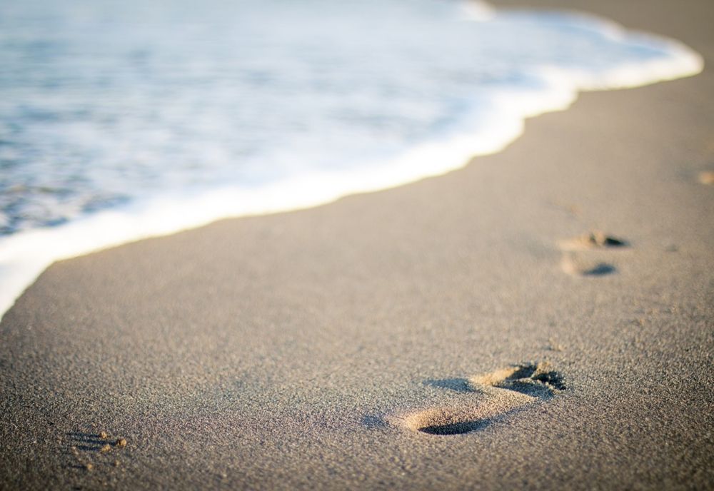 E.coli în Marea Neagră. Avertismentul unui medic pentru toți turiștii care merg pe litoral: există un pericol MAI MARE decât această bacterie