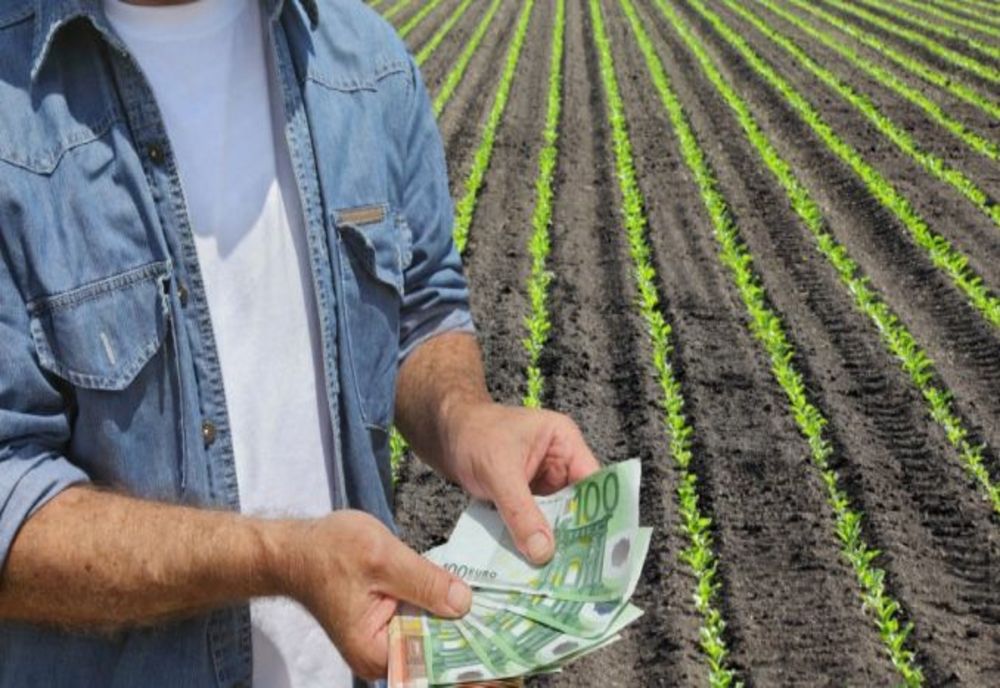 APIA autorizează plățile aferente schemelor de sprijin cuplat   în sectorul vegetal -  Campania 2022