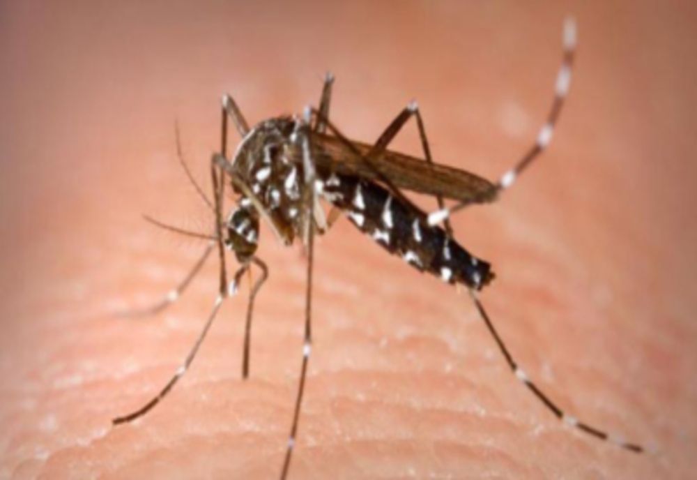 UN NOU DECES ÎNREGISTRAT DIN CAUZA INFECȚIEI CU VIRUSUL WEST NILE