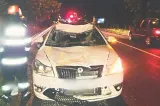 Accident rutier în Cluj: un cal a murit, o femeie a ajuns la spital