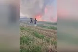 Incendiu puternic în Cluj. Flăcările au distrus mai multe culturi de grâu
