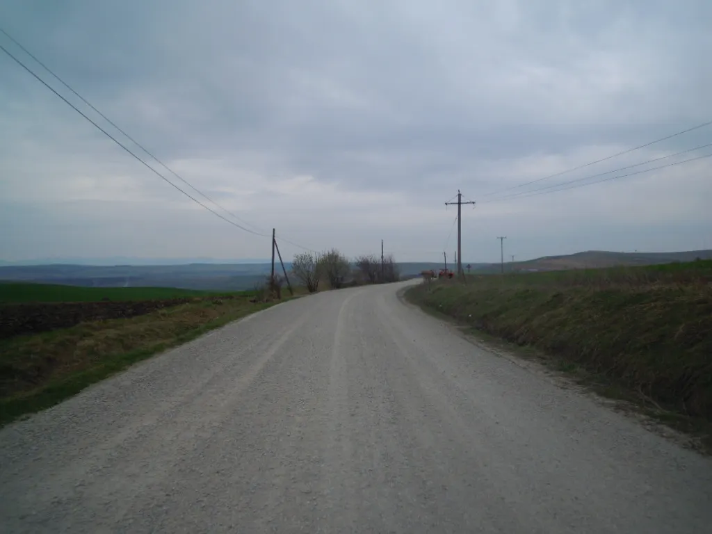 DSCN2929