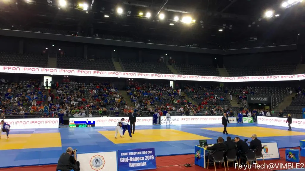 judo