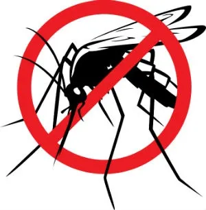 deyinsecte