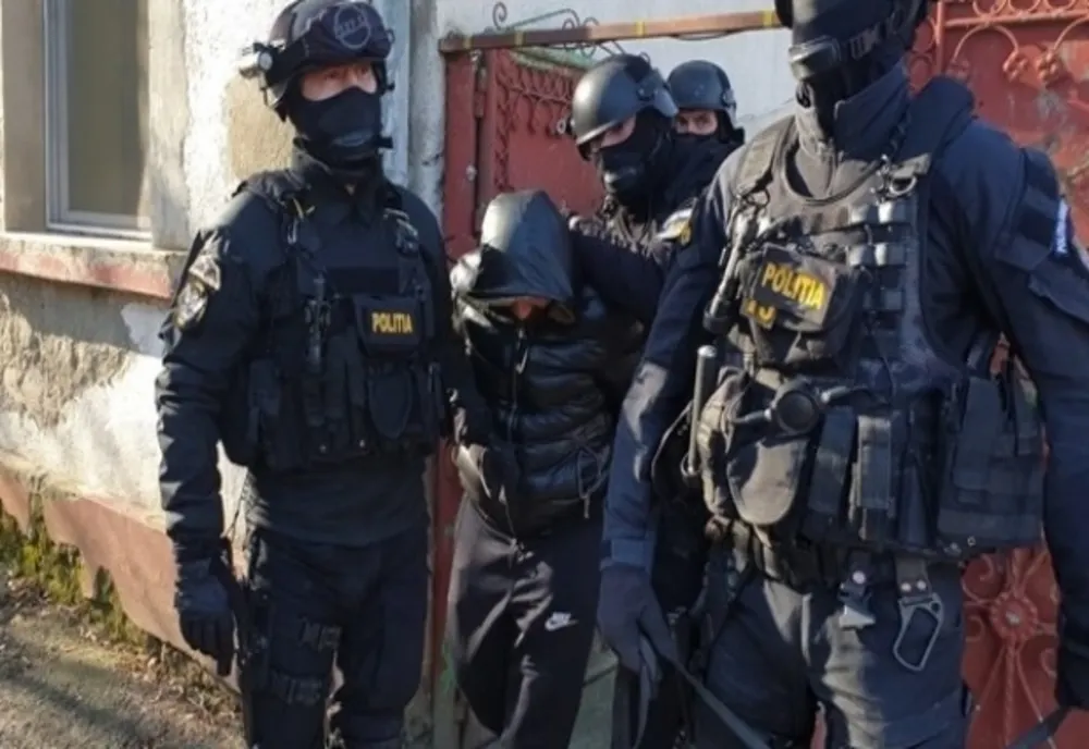 Patru bărbaţi au furat 100 de oi din mai multe sate din judeţul Cluj! Mascaţii au descins la ei acasă