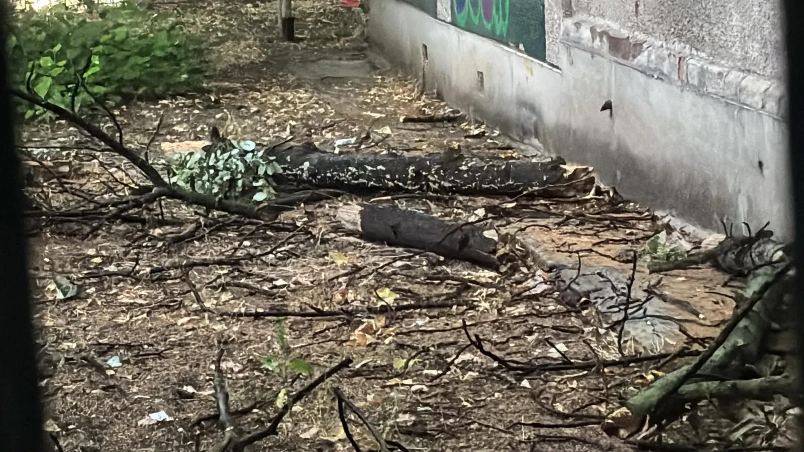 Cod Roșu