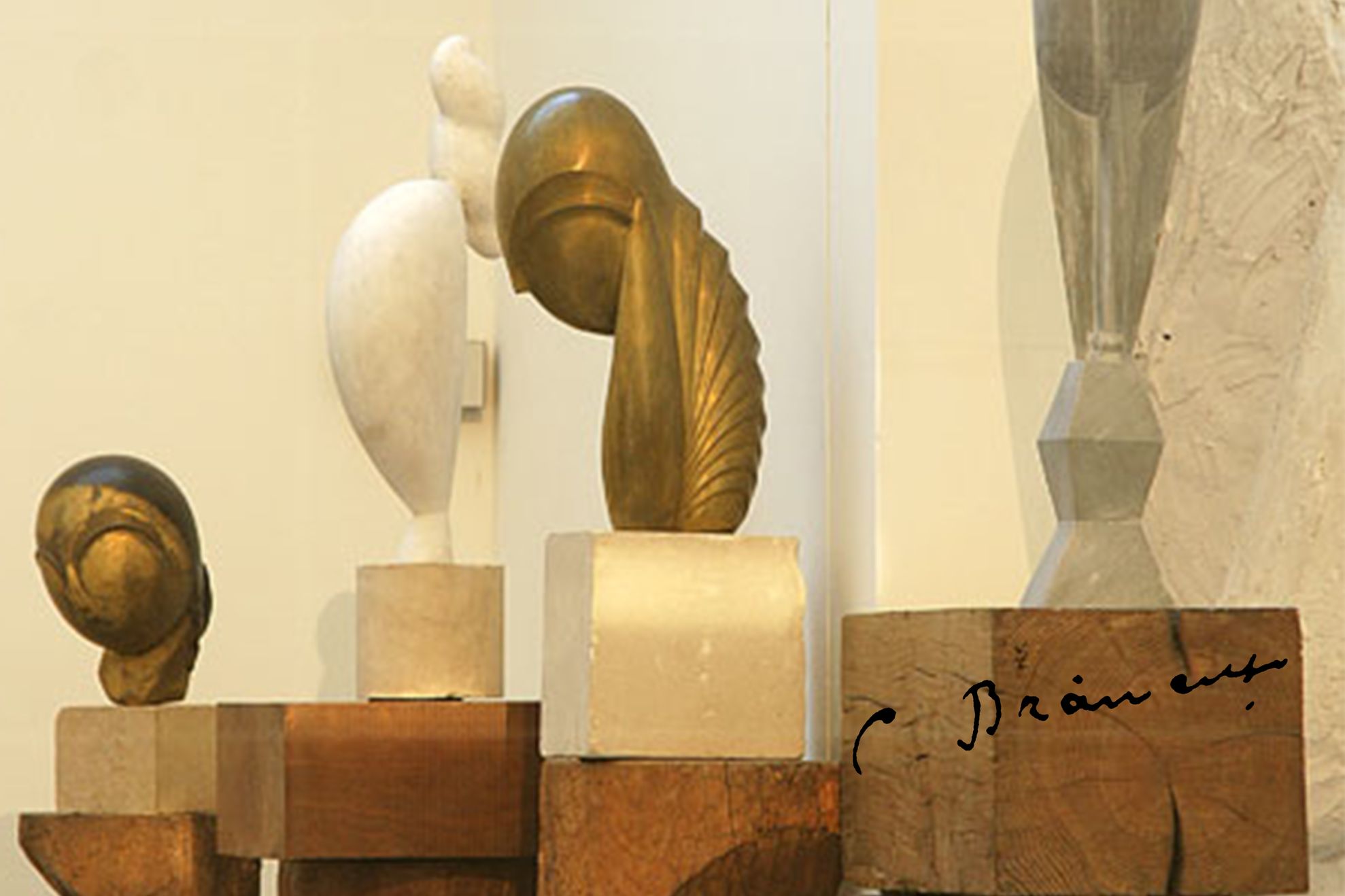 AFIS BRANCUSI