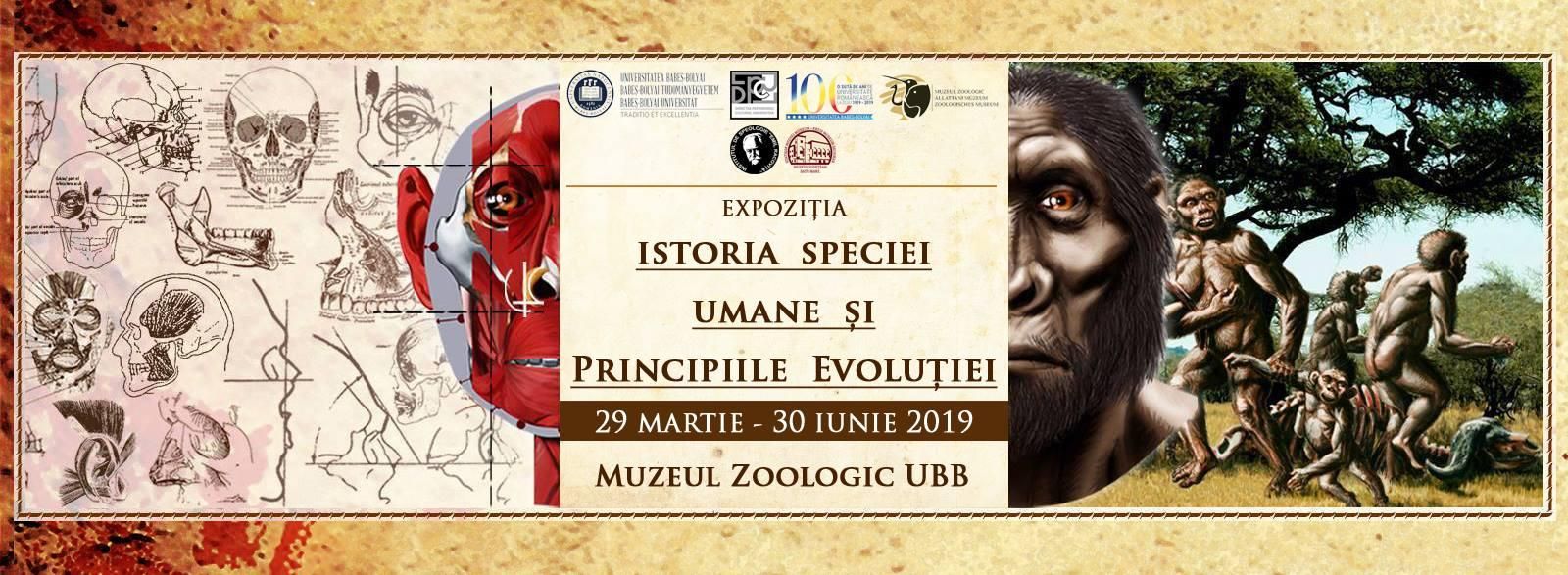 expozitie