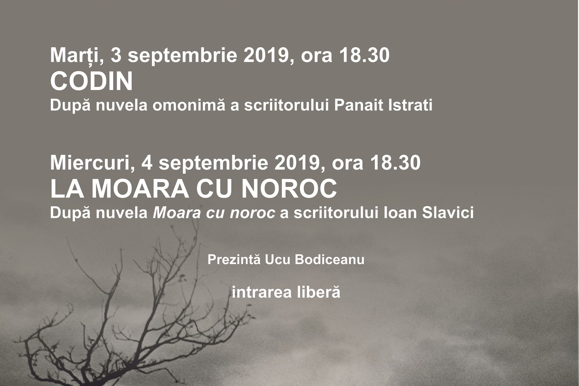 Filme de colectie_Ecranizari celebre