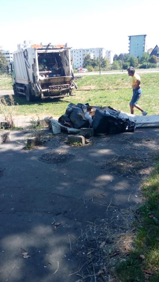 curatenie la terenuri manastur