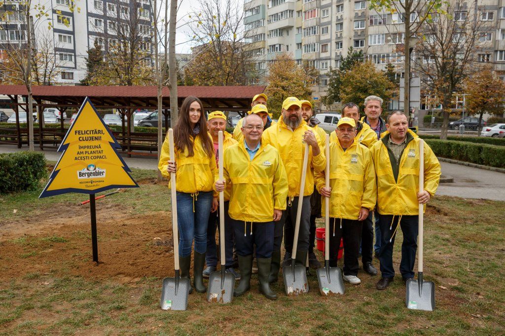 plantare in Primaverii