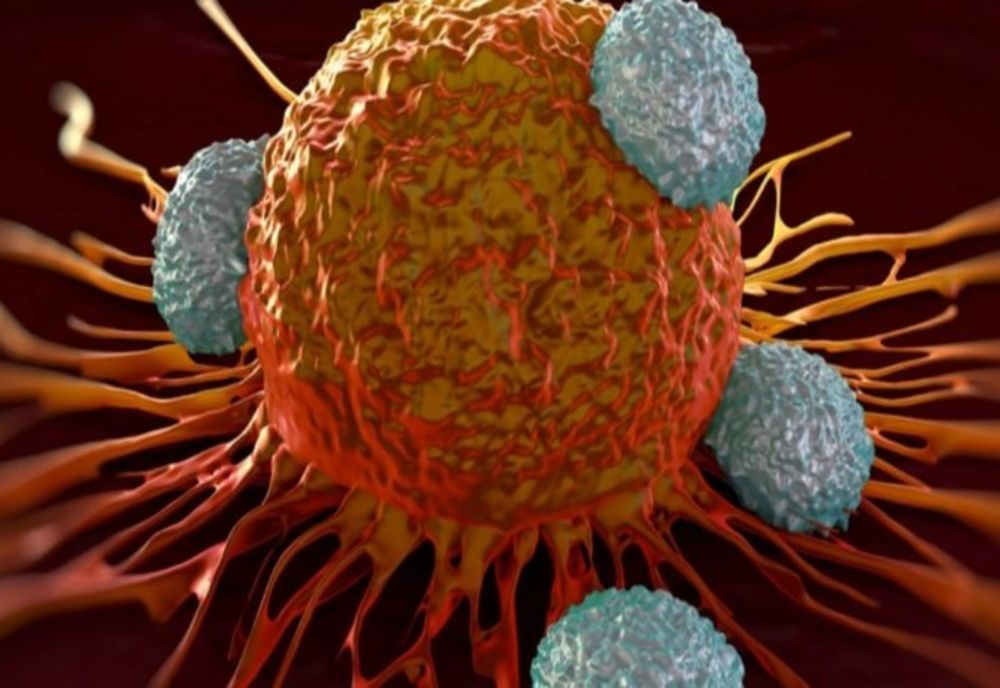 Șeful OMS cere ţărilor să acţioneze "rapid", să se pregătească să facă faţă epidemiei chiar dacă nu au înregistrat niciun caz