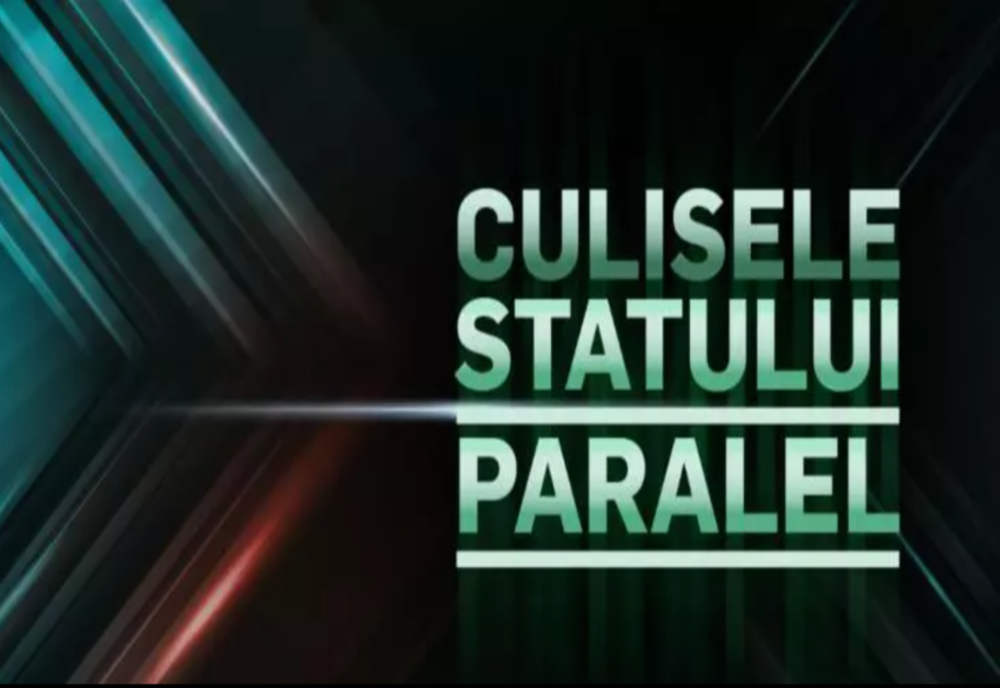 Culisele statului paralel | Mafia lemnului nu iartă! Până unde vor merge crimele și măcelul pădurilor țării?