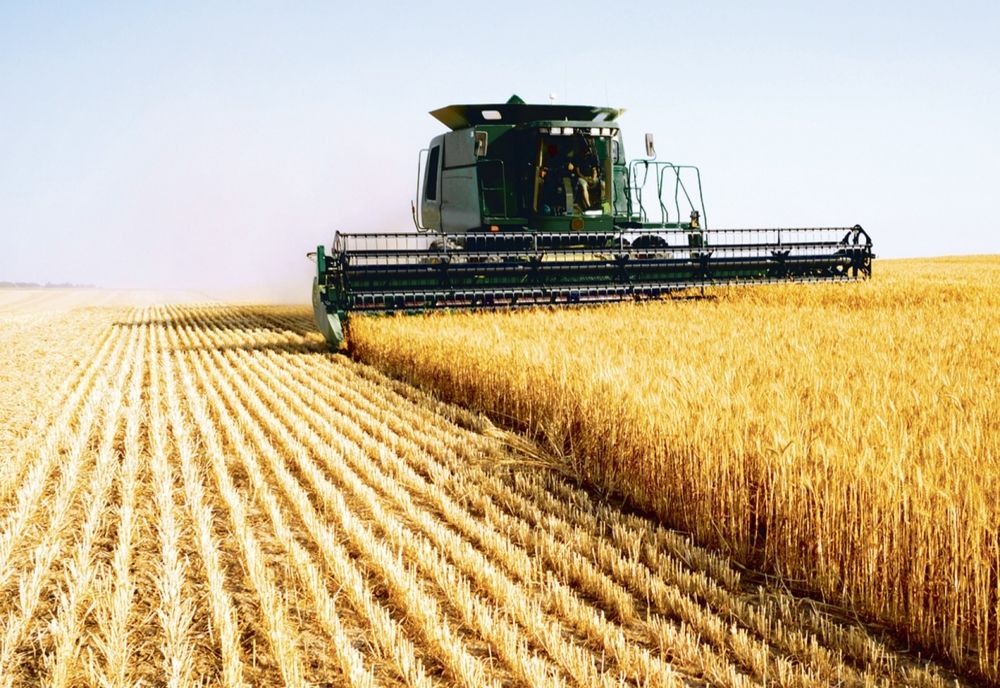 Ministrul Agriculturii spune că România are destule stocuri de cereale și nu va opri exporturile