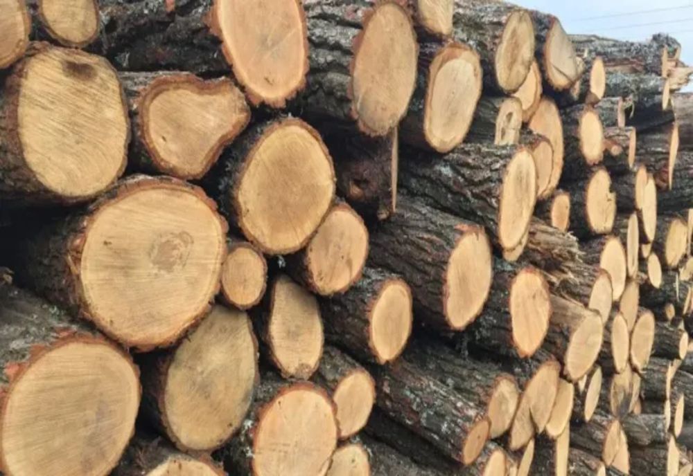 Lemne de foc, fără documente legale, confiscate de polițiștii sălăjeni de la un bărbat din Cluj
