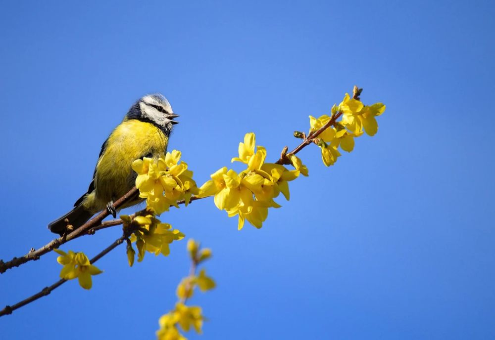 VREMEA 28 APRILIE. VREME FRUMOASĂ CU TEMPERATURI PLĂCUTE ȘI CER SENIN