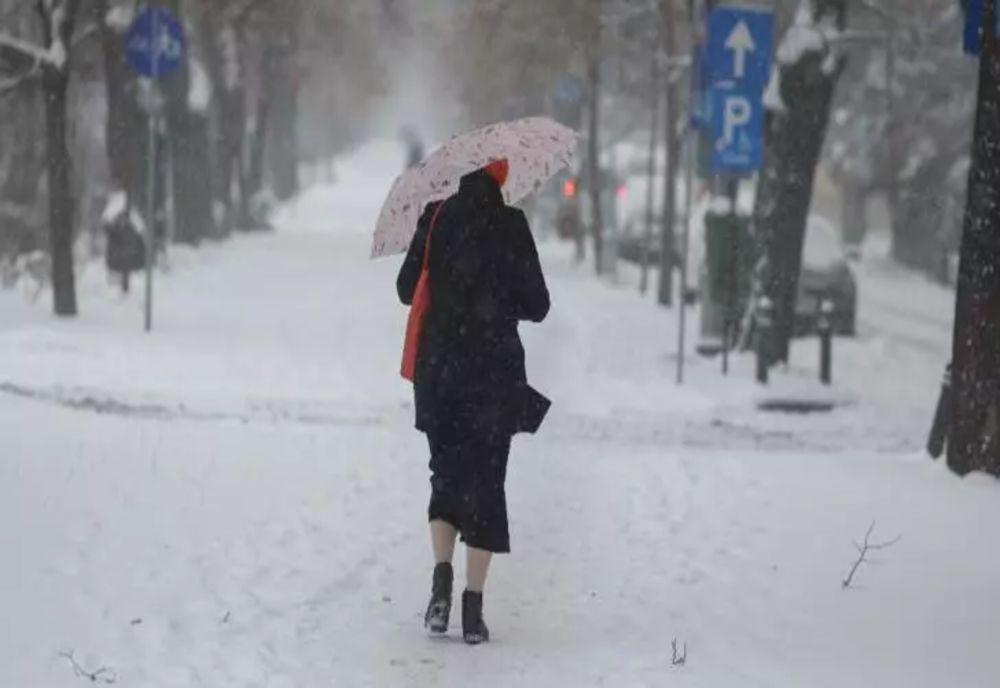 Primăria Sectorului 1 reziliază contractul cu Romprest. Mafia gunoaielor pierde contractul de milioane de euro după ce a lăsat Capitala în dezastru