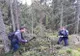 FOTO | Acţiune a poliţiştilor clujeni pentru prevenirea tăierilor ilegale de arbori