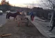 Tânăr de 22 de ani reţinut după ce a provocat un accident rutier! Acesta era beat şi nu avea permis