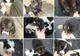 Un cățel adoptat, cadoul perfect de 8 Martie