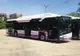 Noi linii de transport în comun la Cluj-Napoca
