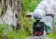Excursiile cu Mocănița atrag tot mai mulți turiști în Transilvania