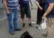 CRUZIME: câine tras cu un cablu după maşină într-un cartier din Cluj-Napoca