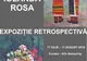 Expoziție retrospectivă Iolanda Rosa (1926-2007) la Muzeul Etnografic al Transilvaniei