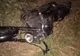 FOTO | Accident în Cămăraşu! Un motociclist a fost rănit
