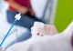 Testul Babeş-Papanicolau poate fi făcut gratuit la Spitalul de Boli Infectioase din Cluj-Napoca