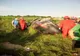 FOTO | Accident cu două mașini în Bologa! Unul din autoturisme s-a răsturnat 