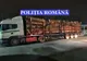 FOTO | Camion cu lemne oprit de poliţişti! Oamenii legii au confiscat lemnele şi autovehiculul