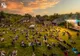 19.000 de participanţi la festivalul Jazz in The Park