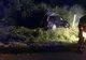 Şoferiţă rănită pe un drum judeţean după ce a lovit cu maşina un cal lăsat nesupravegheat (FOTO)