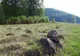 Trasee turistice montane omologate în județul Cluj