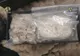 Traficanţi de droguri arestaţi la Cluj! Drogurile au fost confiscate (FOTO)