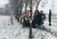 Accident în Jucu de Mijloc! O şoferiţă a fost rănită după ce s-a răsturnat cu maşina (FOTO)