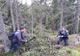 FOTO | Acţiune a poliţiştilor clujeni pentru prevenirea tăierilor ilegale de arbori