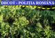 12 traficanți de cannabis reținuți! Au fost efectuate percheziţii în Cluj şi Bistriţa-Năsăud
