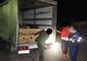 FOTO | Autocamioane şi materiale lemnoase confiscate, în urma unor acţiuni ample ale poliţiştilor